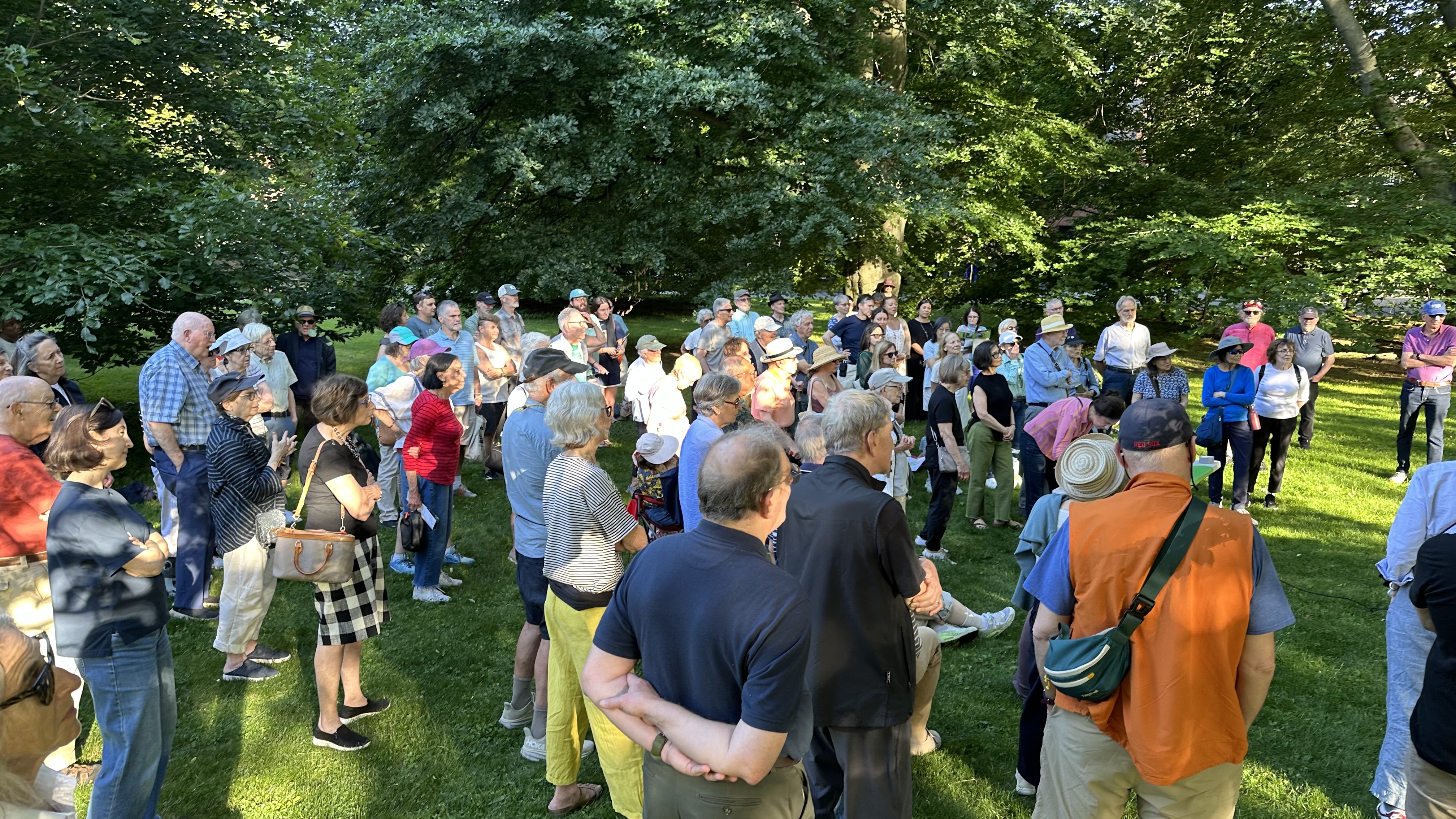 Brookline residents standing in the shade during the June 2026 Longwood Mall event